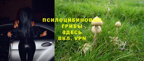винт Краснослободск
